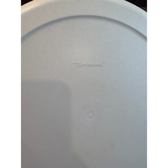 Vintage Tupperware Veggie Tray 1665-3 IN GREAT CONDITION - Picture 6 of 6